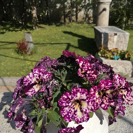 La Primula アオスタ